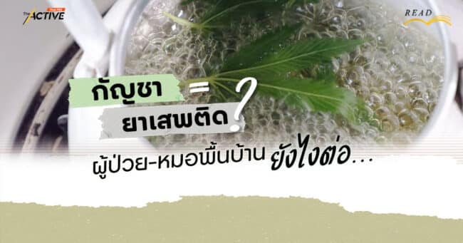 กัญชา=ยาเสพติด ? ผู้ป่วย-หมอพื้นบ้าน...ยังไงต่อ