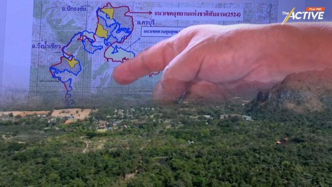 แบ่งกลุ่ม แยกสิทธิ์ให้ชัด เคลียร์ปมเพิกถอน 'ป่าทับลาน' ที่สังคมต้องรู้