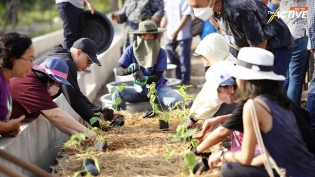 ชู 'เกษตรในเมือง' สู่ความมั่นคงทางอาหาร-ชุมชนแข็งแรง