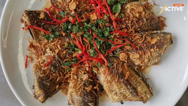 กทม. ปรุงเมนู ‘ปลาหมอคางดำ’ แจก