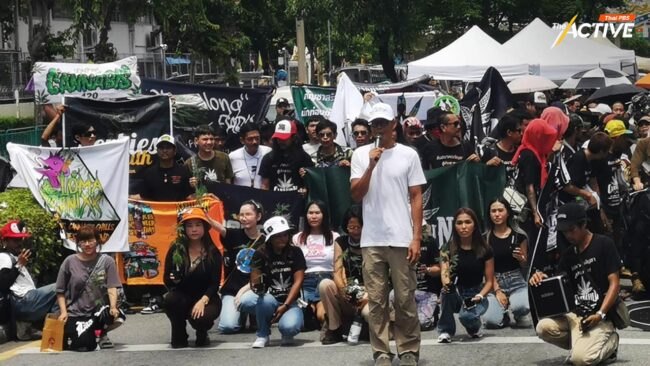 เครือข่ายกัญชาฯ จี้ รบ. วิจัยสะท้อนโทษ 'กัญชา' เทียบ 'เหล้า-บุหรี่' ให้ชัด