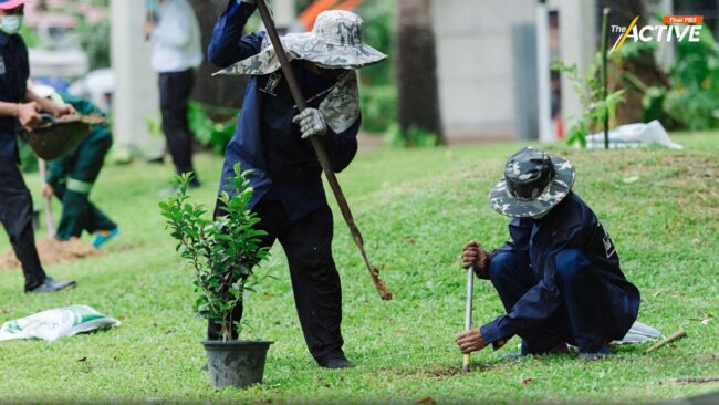 กทม. ปลูกต้นไม้ทะลุเป้าล้านต้น เดินหน้าเพิ่ม พท.สีเขียว ดูดซับมลพิษ
