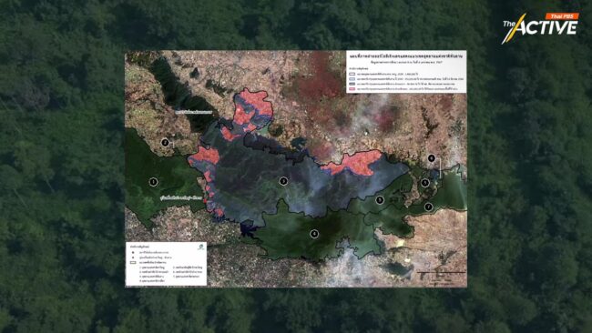 มองมุมต่าง ปมเฉือน 'ป่าทับลาน' 2.6 แสนไร่