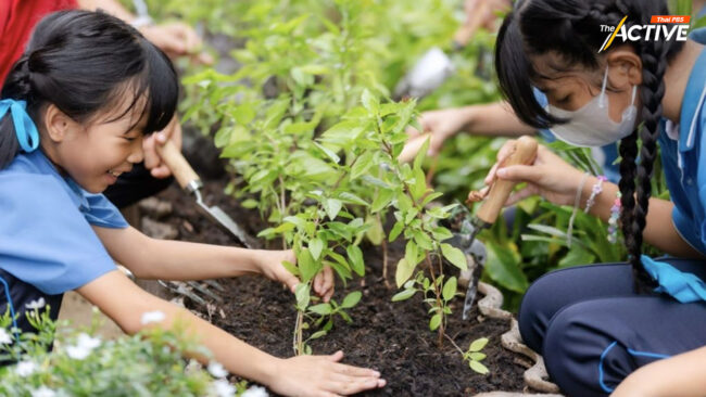 เปลี่ยนพื้นที่ใต้ทางด่วน สู่ 'สวนเกษตร รร.พูนสิน'