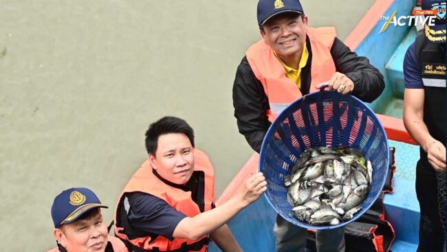 ตัดวงจรปลาหมอคางดำ จับขายกิโลกรัมละ 15 บาท