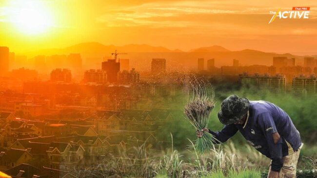 คณะสังคมสงเคราะห์ฯ มธ. เตรียมแผนเชิงรุก สร้าง นโยบายสวัสดิการสังคม เชื่อม 