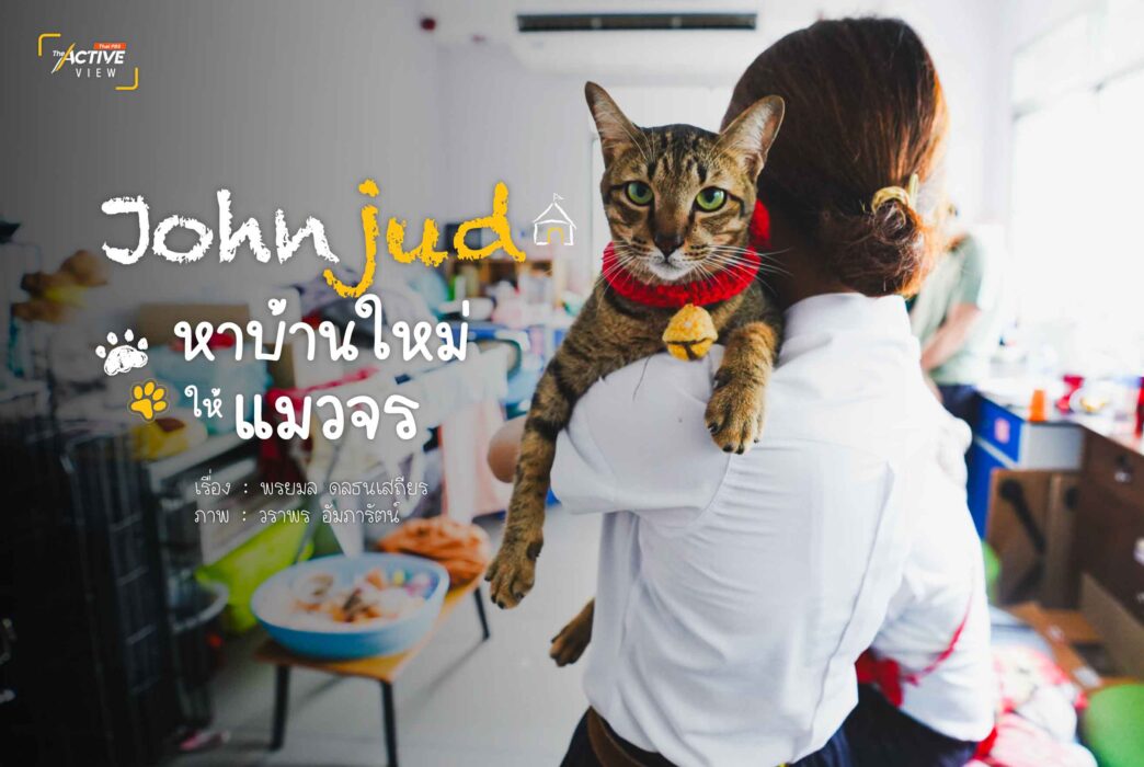 ‘Johnjud’ หาบ้านใหม่ ให้ ‘แมวจร’