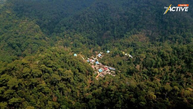 เมื่อ 'อคติเหมารวม' ผลักชุมชนดูแลป่า เป็นตัวต้นเหตุ 'ภัยพิบัติ' ?