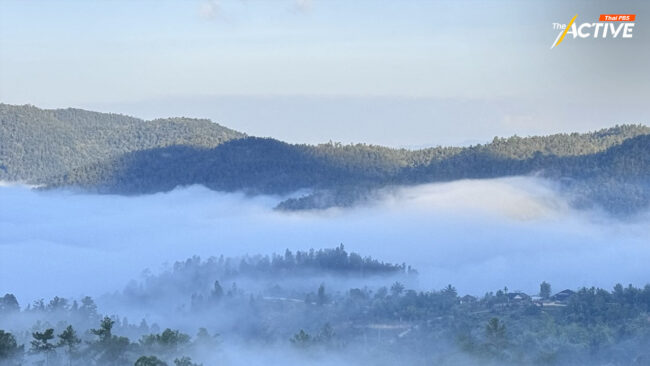 ไทยเข้าสู่ ‘ฤดูหนาว’ 29 ต.ค. 67 คาดหนาวเย็น กว่าปีก่อน