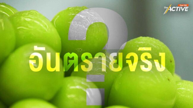 “องุ่นไชน์มัสแคท” กินแล้วอันตรายจริงหรือไม่