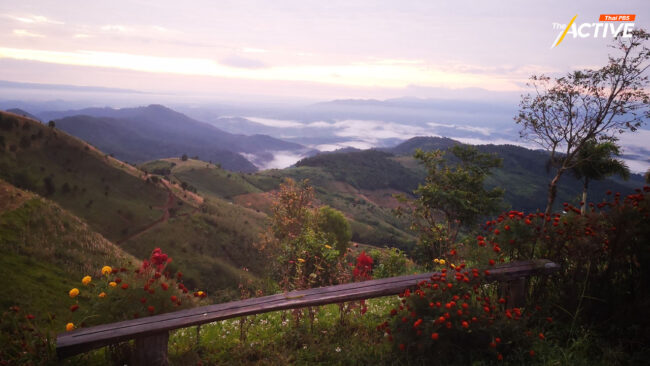 ปธ.หอการค้าเชียงราย ติงแคมเปญ 'แอ่วเหนือคนละครึ่ง' น้อยไป ไม่จูงใจนักท่องเที่ยว