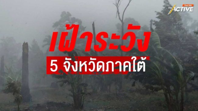 ภัยพิบัติใต้ยังไม่คลี่คลาย จับตาต่อเนื่อง พื้นที่เสี่ยงฝนตก 5 จังหวัดเฝ้าระวัง 30 ธ.ค.นี้