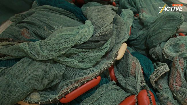 แนะแก้ ม.69 พ.ร.ก.ประมง ต้องคำนึงถึงนิเวศทางทะเลทั้งระบบ