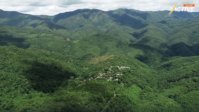 นิรโทษกรรม ‘คดีป่าไม้-ที่ดิน’ ล้างมลทิน คืนสิทธิประชาชน