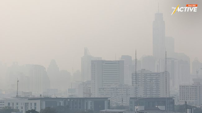 กทม. ประกาศ WFH หนีฝุ่น! 20 - 21 ม.ค.นี้