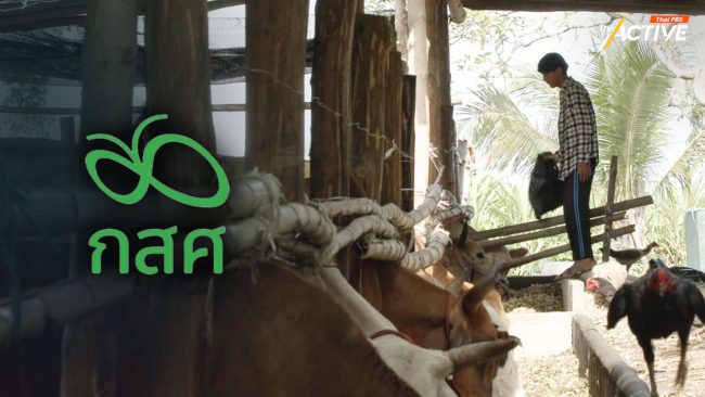 6 เดือน Thailand Zero Dropout พาเด็กกลับห้องเรียนแล้ว 3 แสนคน