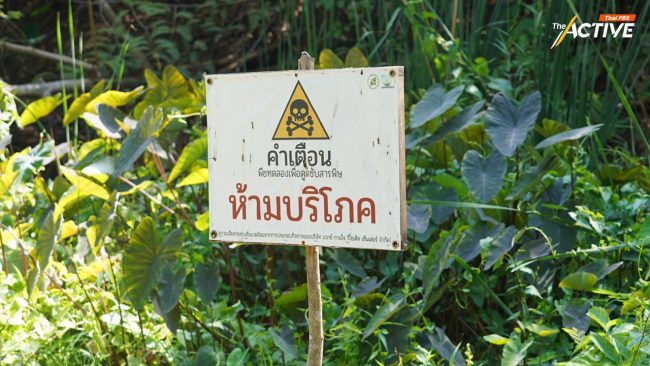 4 ปี ชนะคดี ไร้เยียวยา มลพิษ ‘แว็กซ์ กาเบ็จ’ ชาวบ้าน ร้อง ‘ผู้ตรวจการแผ่นดิน’ เร่งช่วยเหลือ