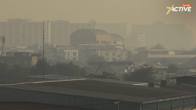 โรงเรียน กทม.ปรับตัวรับมือฝุ่น ผู้ปกครองห่วงสุขภาพเด็ก