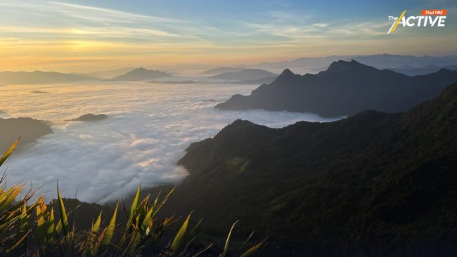 ลมหนาว ต่อโปรยาว ถึง 12 ม.ค. 68 - เตือน!! กทม. จมฝุ่นนับสัปดาห์