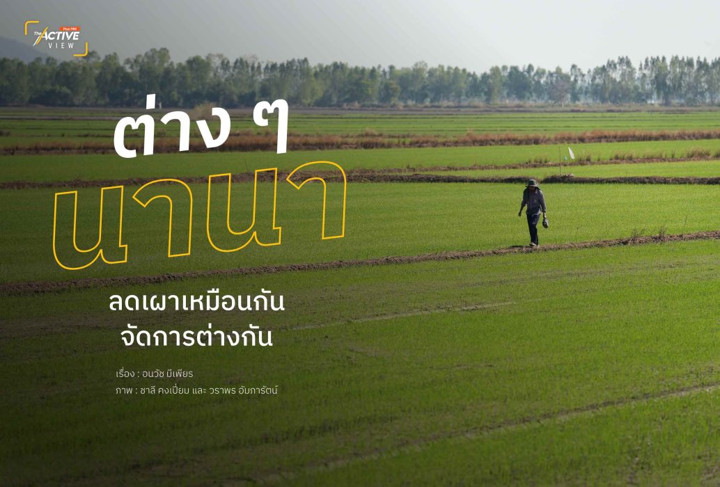 ต่าง ๆ นานา ลดเผาเหมือนกัน จัดการต่างกัน