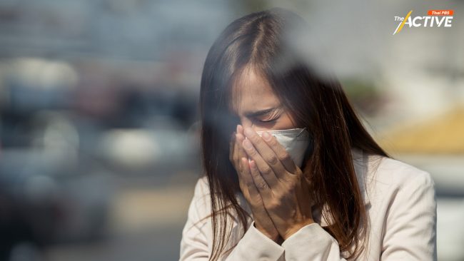 ฝ่าทางตัน 'ฝุ่น' ระหว่างรอ 'พ.ร.บ.อากาศสะอาด'