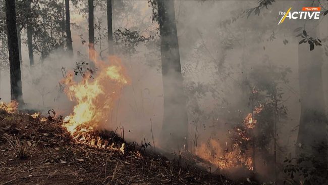 ข้อจำกัด ดาวเทียมตรวจจับไฟป่า แนะใช้ข้อมูลภาคพื้นดินร่วมเพื่อความแม่นยำ