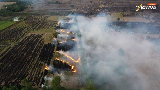 ปชน. ติงมาตรการ 'ห้ามเผา' ไร้แผน สะท้อนวิกฤตผู้นำแก้ฝุ่น