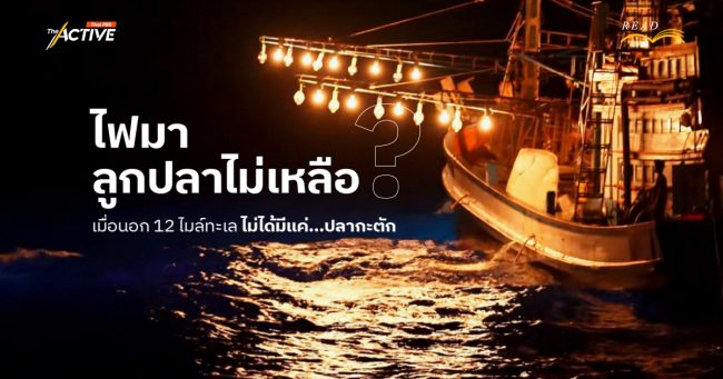 ไฟมา ลูกปลาไม่เหลือ ? เมื่อนอก 12 ไมล์ทะเล ไม่ได้มีแค่...ปลากะตัก
