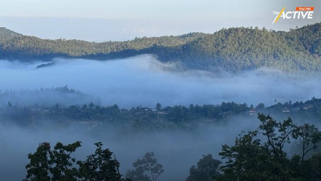 ไทยอากาศแปรปรวนหนัก! หน้าร้อน ฝนถล่ม เตรียมเจอ 'เย็นหลงฤดู'