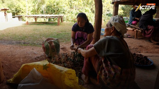 ฝากความหวัง สว. กลั่นกรอง 'กม.ชาติพันธุ์' ขออย่าผิดเพี้ยนไปกว่าชั้น สส.