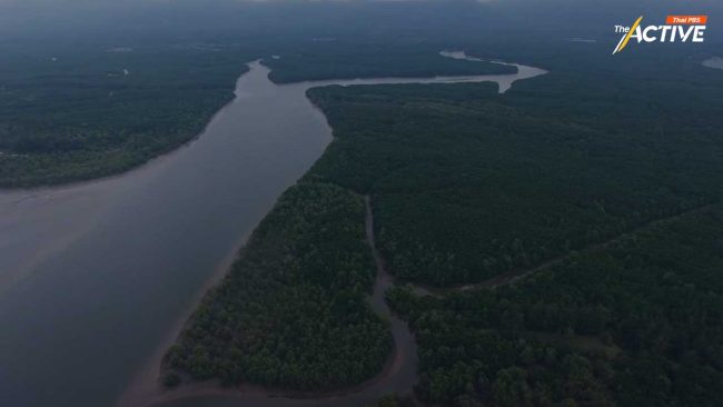 รับฟังความเห็น ร่าง กม. SEC ไม่ระบุตัวตน หวั่น “ความเห็นจัดตั้ง”