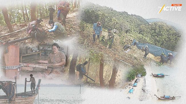 ใกล้ถึงฝัน ‘กม.ชาติพันธุ์’ สว. เขาคิดอะไรกัน ? เมื่อสาระสำคัญ ถูกกลบด้วยความกลัว 