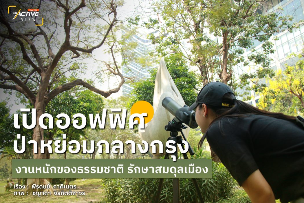 เปิดออฟฟิศ...ป่าหย่อมกลางกรุง งานหนักของธรรมชาติ รักษาสมดุลเมือง