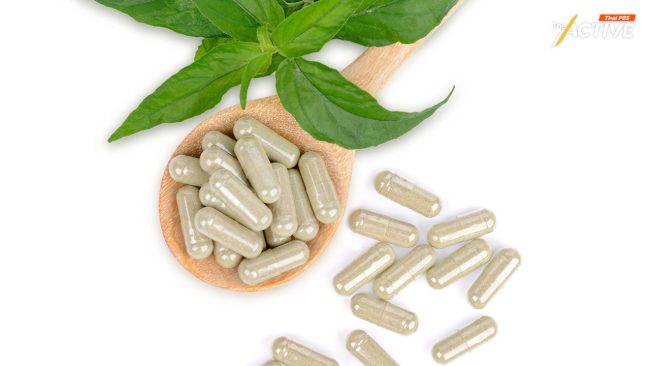 กรมการแพทย์ มั่นใจ 'ฟ้าทะลายโจร' รักษาโควิดไม่รุนแรง แม้ราชวิทยาลัยฯ ไม่แนะนำ