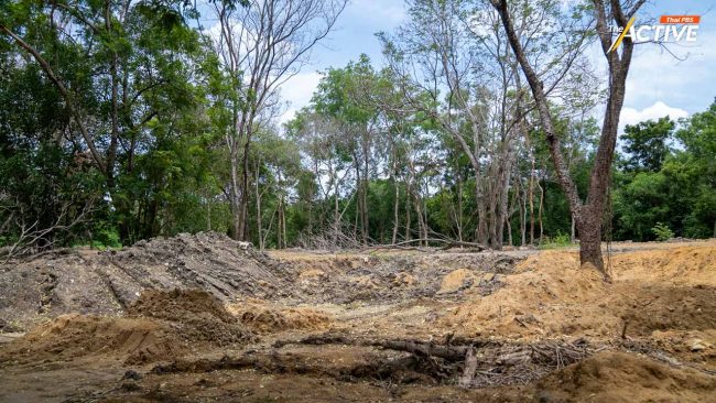 ประมาท หรือ ทุจริต ? 'รสนา' ถามหาคนรับผิดชอบ ปมถมดินพุทธมณฑล