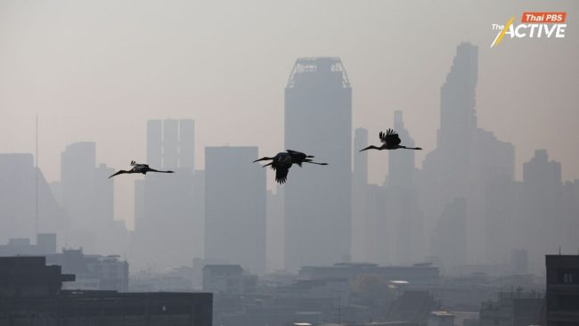 ชวนแสดงความเห็น 'ร่าง พ.ร.บ.อากาศสะอาดฯ' วันนี้ - 8 ส.ค. ก่อนเข้าสภาฯ 