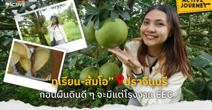 “ทุเรียน-ส้มโอ” @ปราจีนบุรี ก่อนผืนดินดี ๆ จะมีแต่โรงงาน EEC