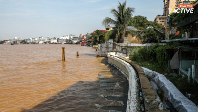 เตือน! น้ำทะเลหนุนสูง 20 - 26 ส.ค.นี้ พร้อมเฝ้าระวังเขื่อนระบายน้ำเพิ่ม