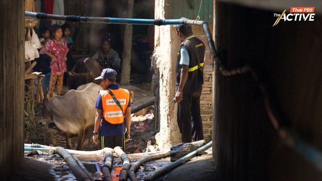 ปมการเมือง-ภัยธรรมชาติ ผลักผู้ลี้ภัยเมียนมา เข้าไทยเพิ่ม