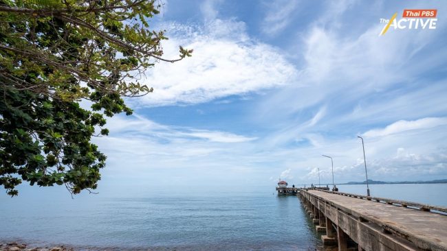 กมธ.พัฒนาการเมืองฯ สว. ฝากถึง 'นายกฯ อนุทิน' คิดให้ดี ดัน 'แลนด์บริดจ์'