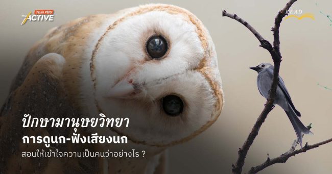 ปักษามานุษยวิทยา : การดูนก-ฟังเสียงนก...สอนให้เข้าใจความเป็นคนว่าอย่างไร ?