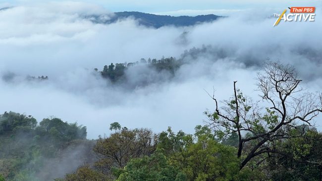 23  ต.ค. นี้ ไทยเข้าสู่ 'ฤดูหนาว' อย่างเป็นทางการ