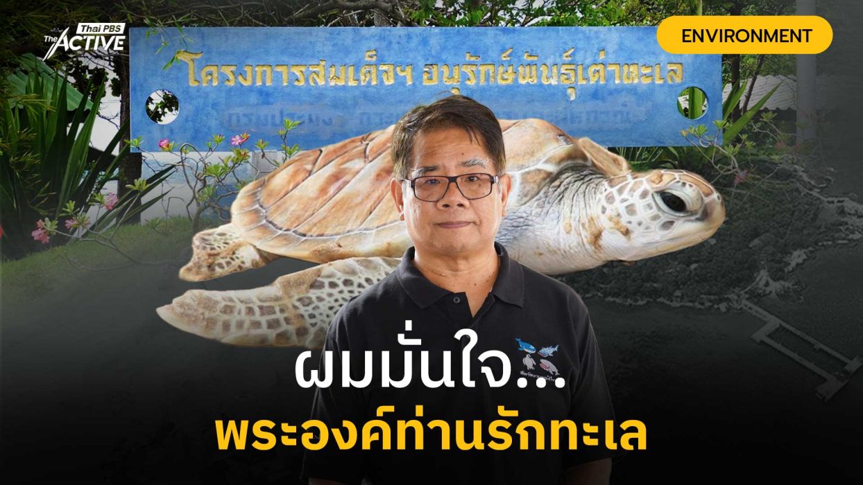 ผมมั่นใจ พระองค์ท่านรักทะเลไทย