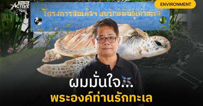 ผมมั่นใจ พระองค์ท่านรักทะเลไทย