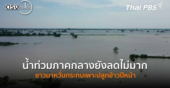 น้ำท่วมภาคกลางยังลดไม่มาก ชาวนาหวั่นกระทบเพาะปลูกข้าวปีหน้า(17 พ.ย. 68) I ตรงประเด็น