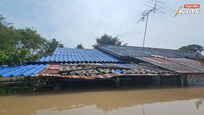 เฝ้าระวังชุมชนใกล้คันกั้นน้ำ หากพบรอยรั่วเร่งซ่อมแซ่ม ขณะที่ 19-29 พ.ย.นี้ น้ำทะเลหนุนสูงอีกรอบ ส่งผลให้การระบายน้ำช้าลง