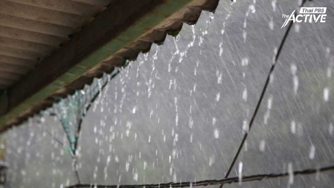 จับตา! ภาคใต้ เจอฝนหนักระลอกใหม่ เฝ้าระวัง 13-18 ธ.ค.นี้