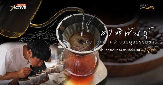 ชาติพันธุ์ : ผลิต ดูแล สร้างสมดุลธรรมชาติ ผ่านโอกาสการเดินทาง ตามกลิ่น-รส ‘กาแฟ’