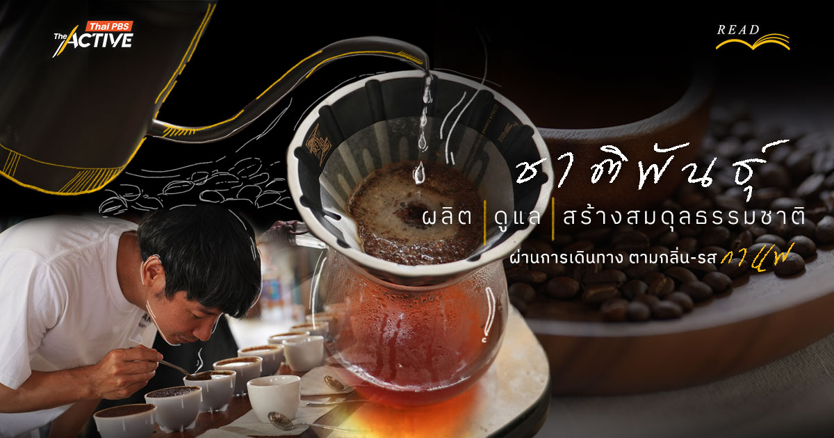 ชาติพันธุ์ : ผลิต ดูแล สร้างสมดุลธรรมชาติ ผ่านโอกาสการเดินทาง ตามกลิ่น-รส 'กาแฟ'