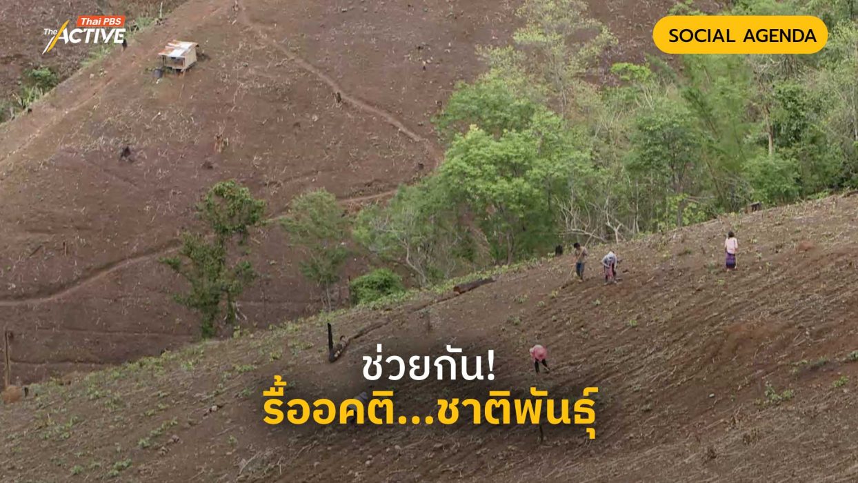 ช่วยกัน! รื้ออคติ...ชาติพันธุ์